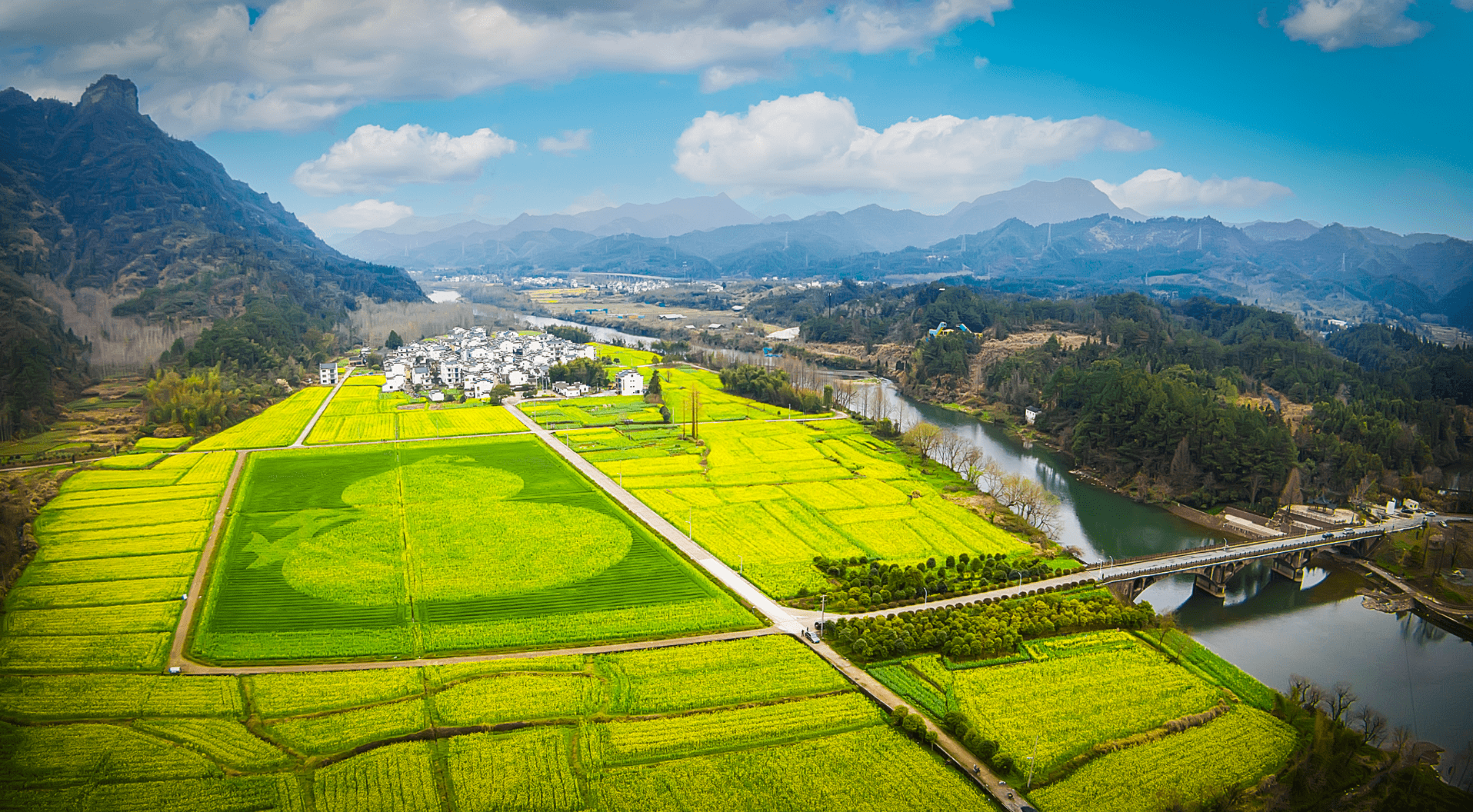 Rape-Flower-Field-Huangshan